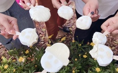 丰满人妻无码AV一区二区免费